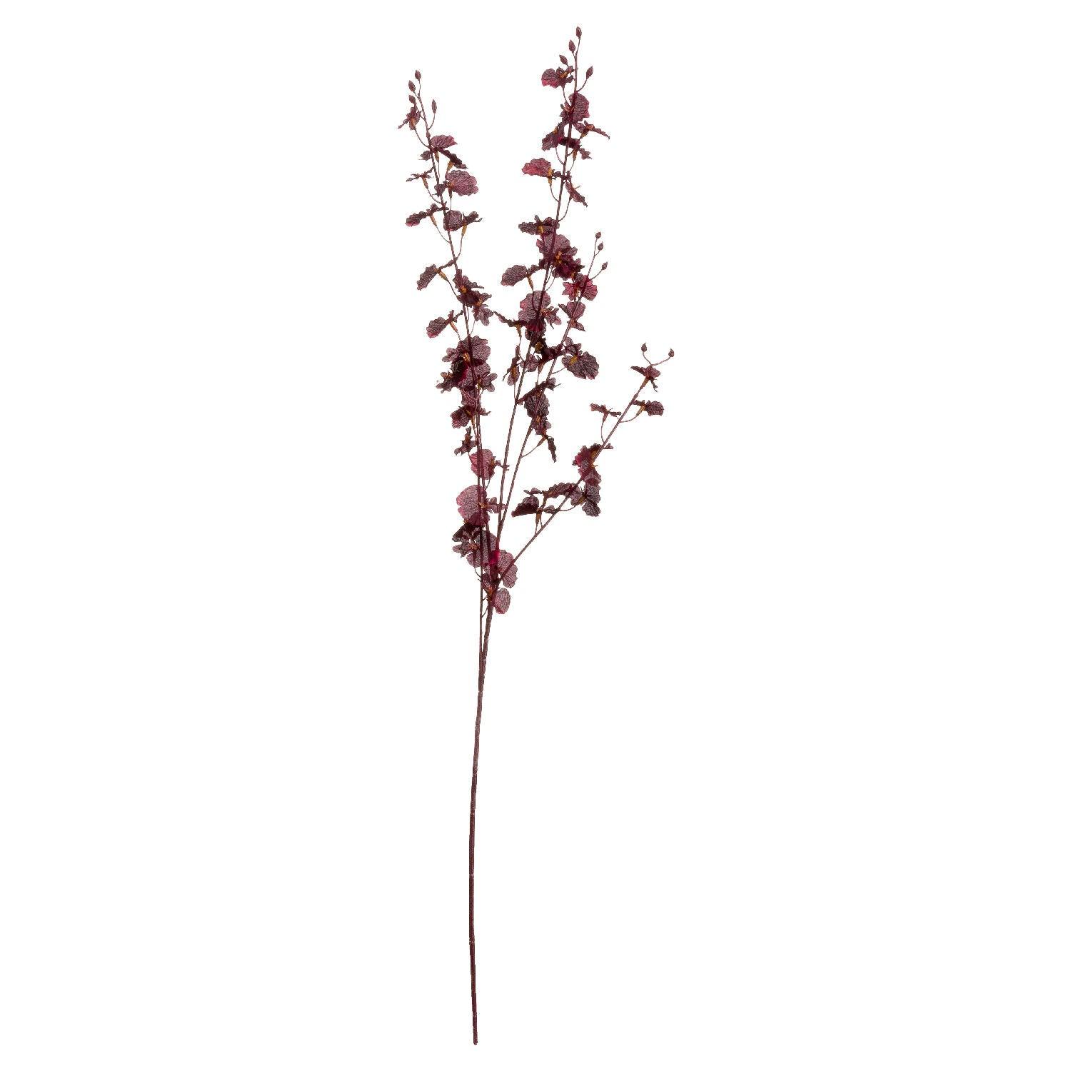 Deep Burgundy Orchid Spray - Eudemonia Home Goods