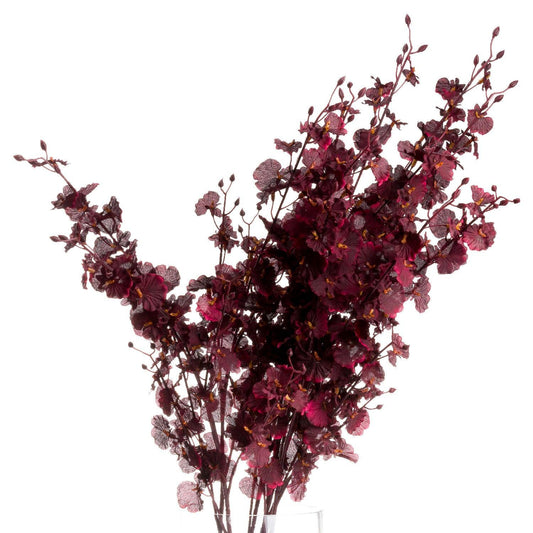 Deep Burgundy Orchid Spray - Eudemonia Home Goods