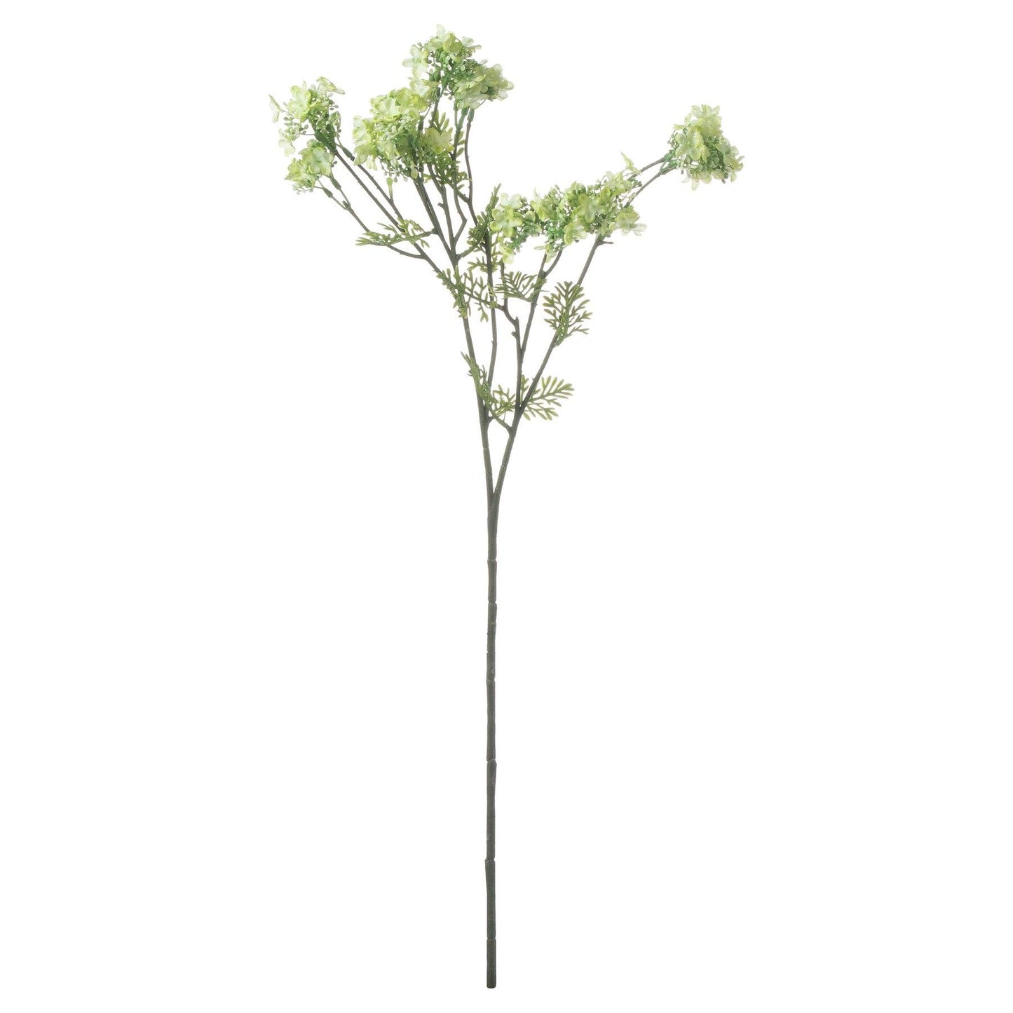 Green Plumb Blossom Spray - Eudemonia Home Goods