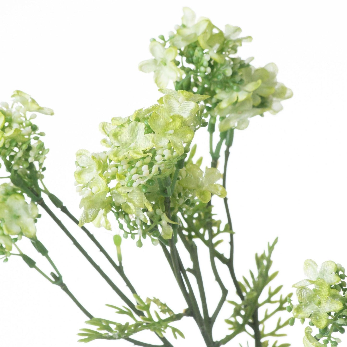 Green Plumb Blossom Spray - Eudemonia Home Goods