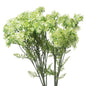 Green Plumb Blossom Spray - Eudemonia Home Goods