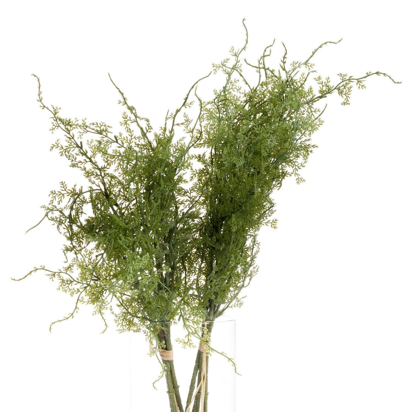 Asparagus Fern Bunch - Eudemonia Home Goods