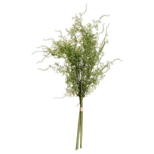 Asparagus Fern Bunch - Eudemonia Home Goods