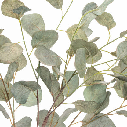 Eucalyptus Tree In Metallic Pot - Eudemonia Home Goods