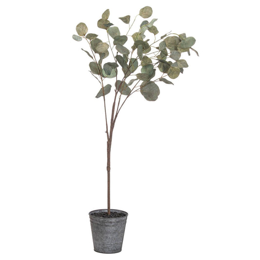 Eucalyptus Tree In Metallic Pot - Eudemonia Home Goods