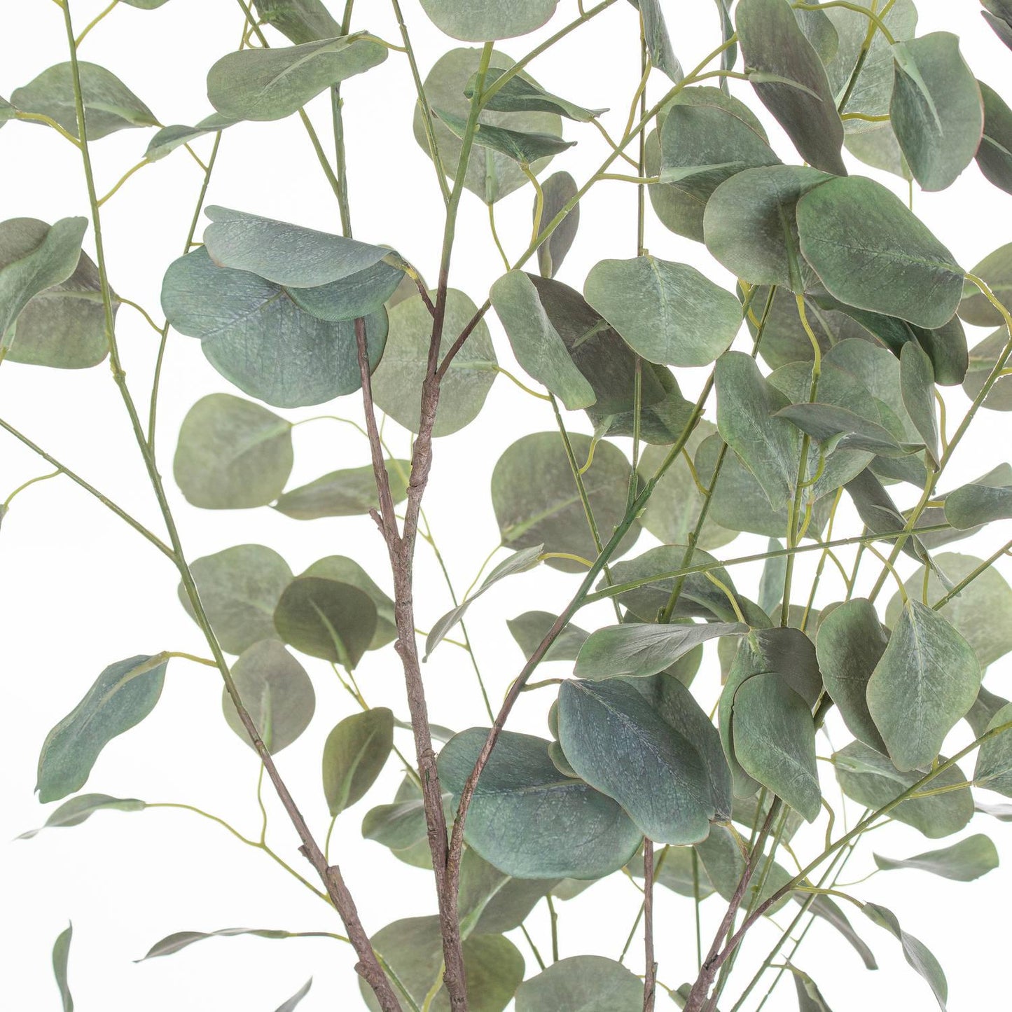 Large Eucalyptus Tree In Metallic Pot - Eudemonia Home Goods