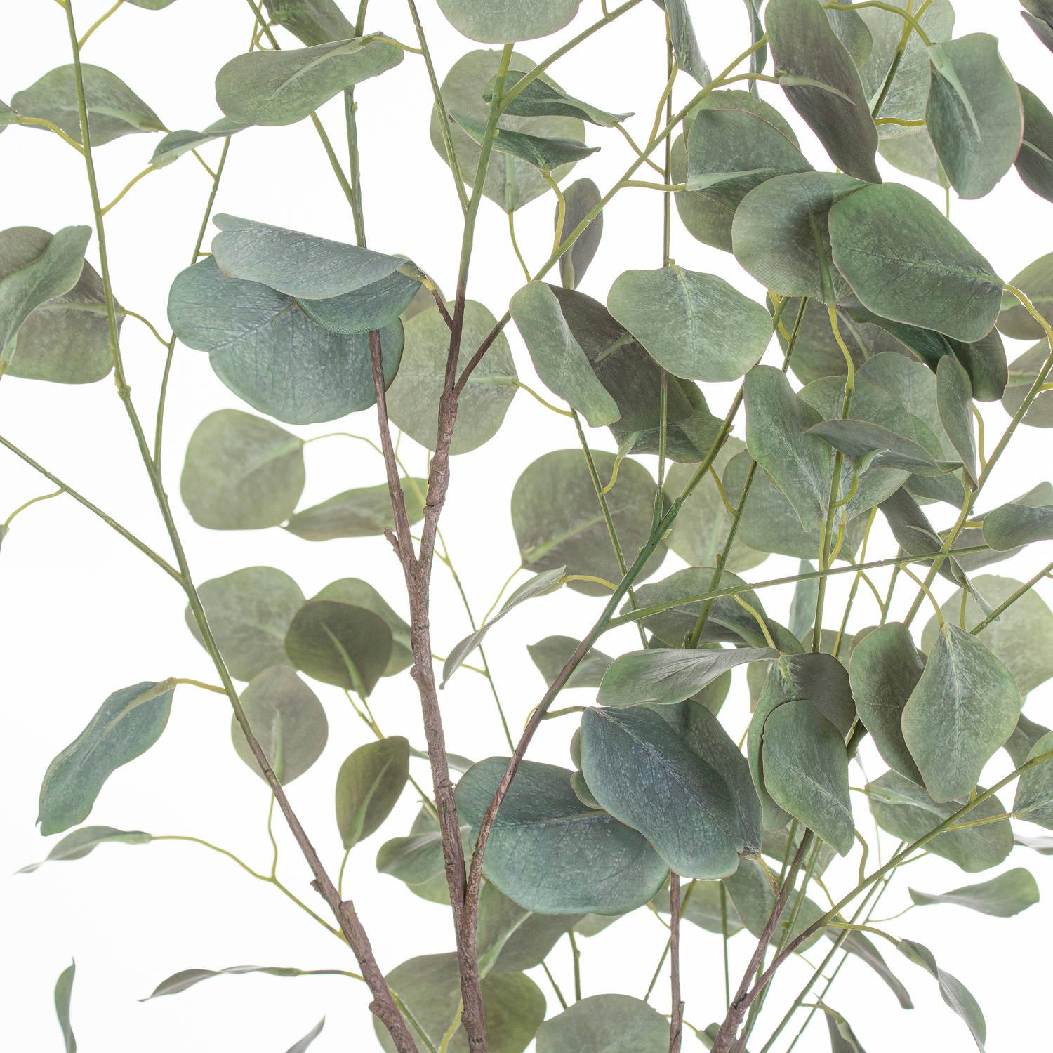 Large Eucalyptus Tree In Metallic Pot - Eudemonia Home Goods