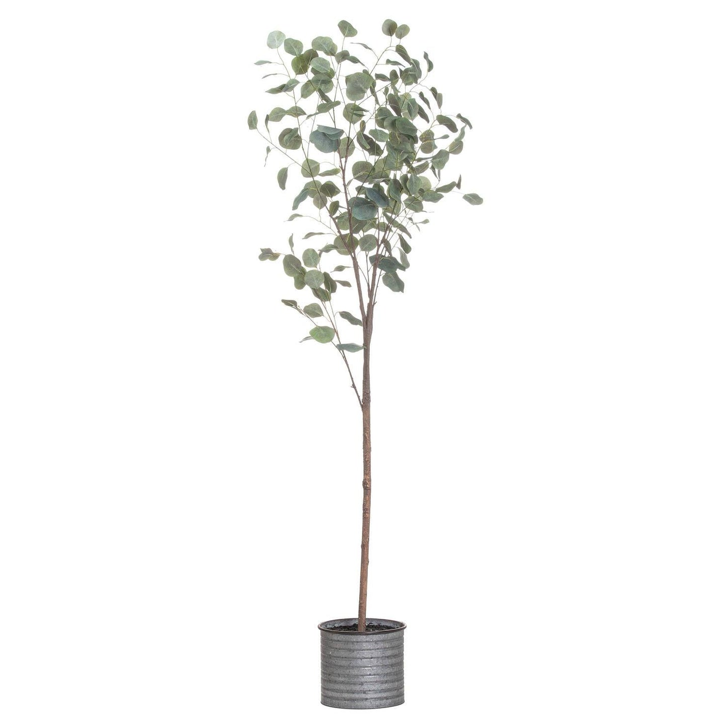 Large Eucalyptus Tree In Metallic Pot - Eudemonia Home Goods