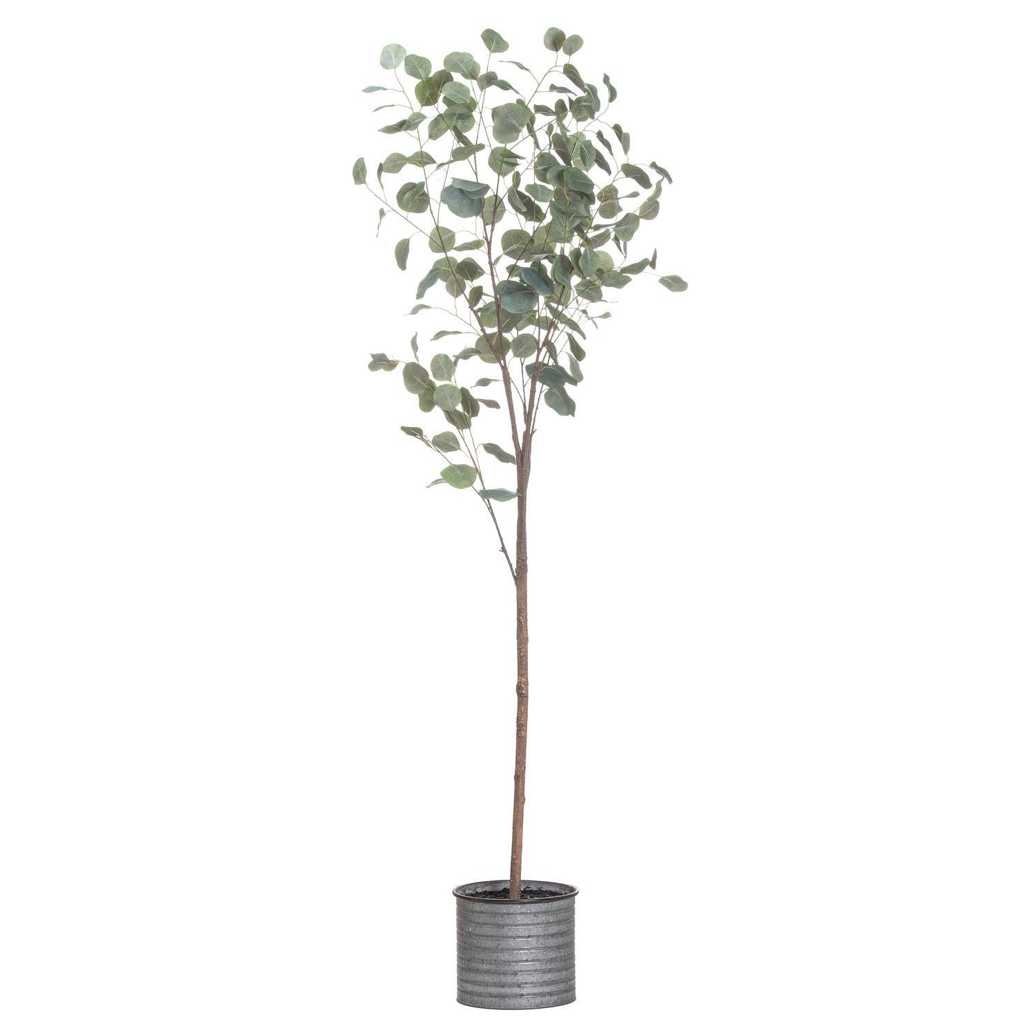 Large Eucalyptus Tree In Metallic Pot - Eudemonia Home Goods
