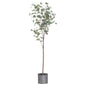 Large Eucalyptus Tree In Metallic Pot - Eudemonia Home Goods