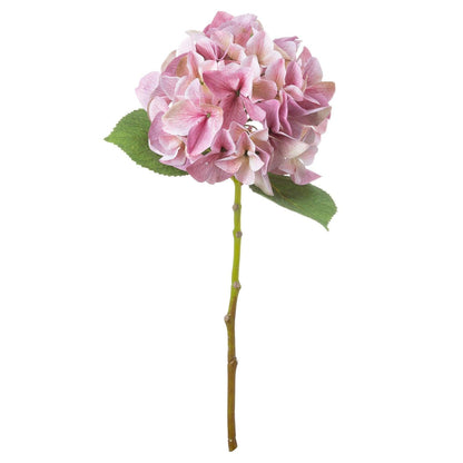 Shabby Pink Single Hydrangea - Eudemonia Home Goods