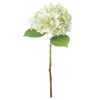 Shabby Green Single Hydrangea - Eudemonia Home Goods