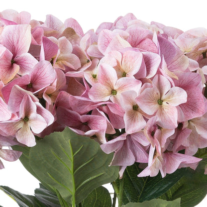 Shabby Pink Hydrangea Bouquet - Eudemonia Home Goods