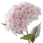 Giant Pink Hydrangea - Eudemonia Home Goods