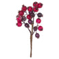 Fat Red Berry Pick - Eudemonia Home Goods