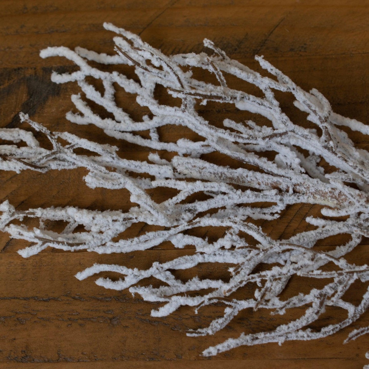 Snow Covered Branch - Eudemonia Home Goods