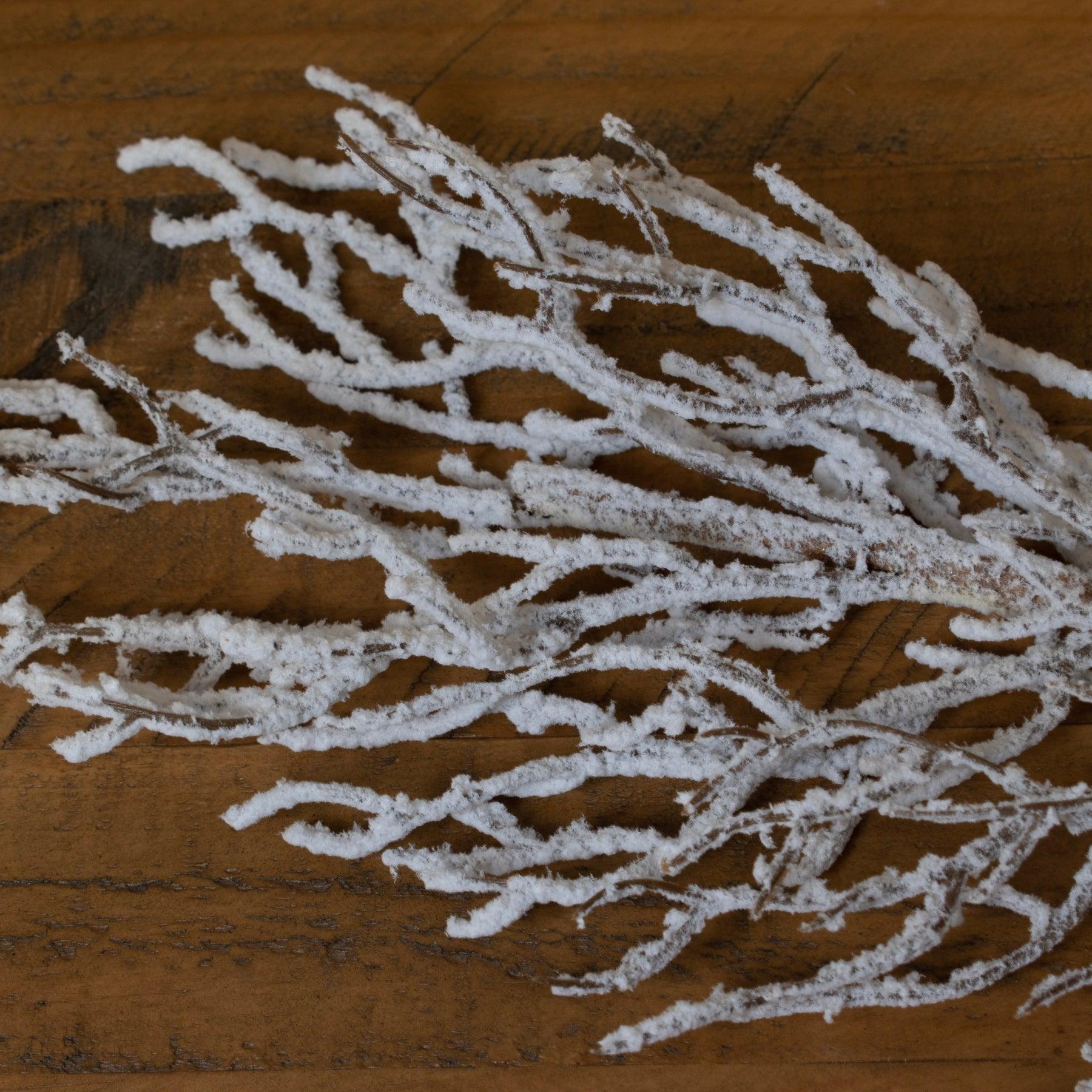 Snow Covered Branch - Eudemonia Home Goods