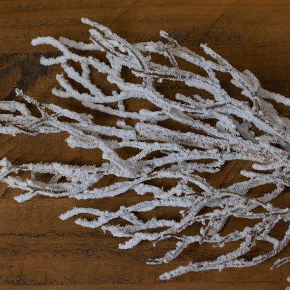 Snow Covered Branch - Eudemonia Home Goods