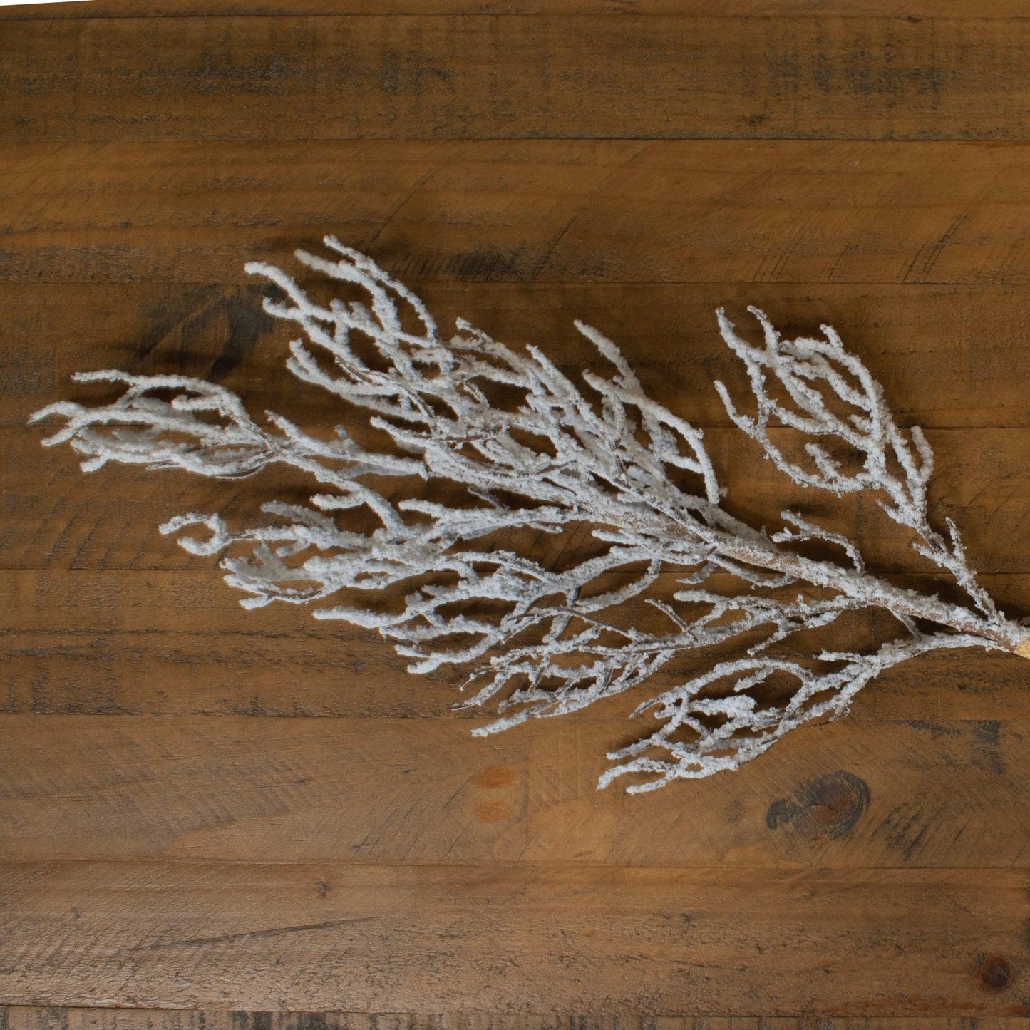 Snow Covered Branch - Eudemonia Home Goods