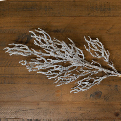 Snow Covered Branch - Eudemonia Home Goods