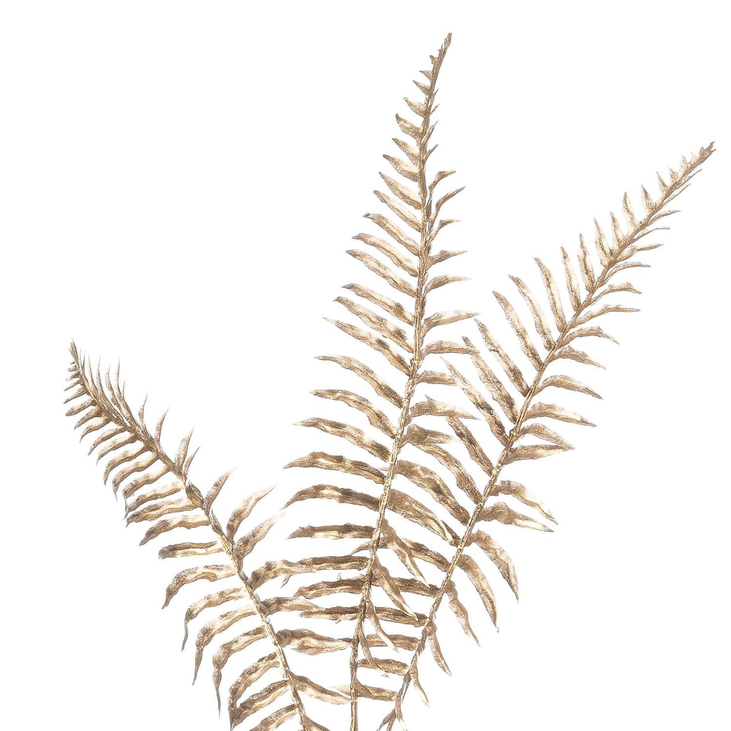 Gold Fern Spray - Eudemonia Home Goods