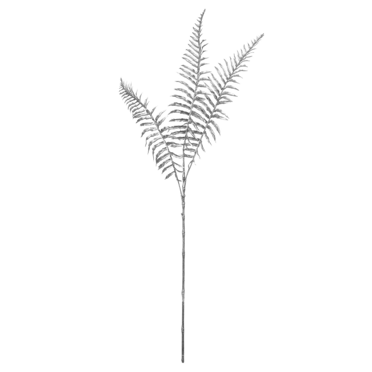 Silver Fern Spray - Eudemonia Home Goods