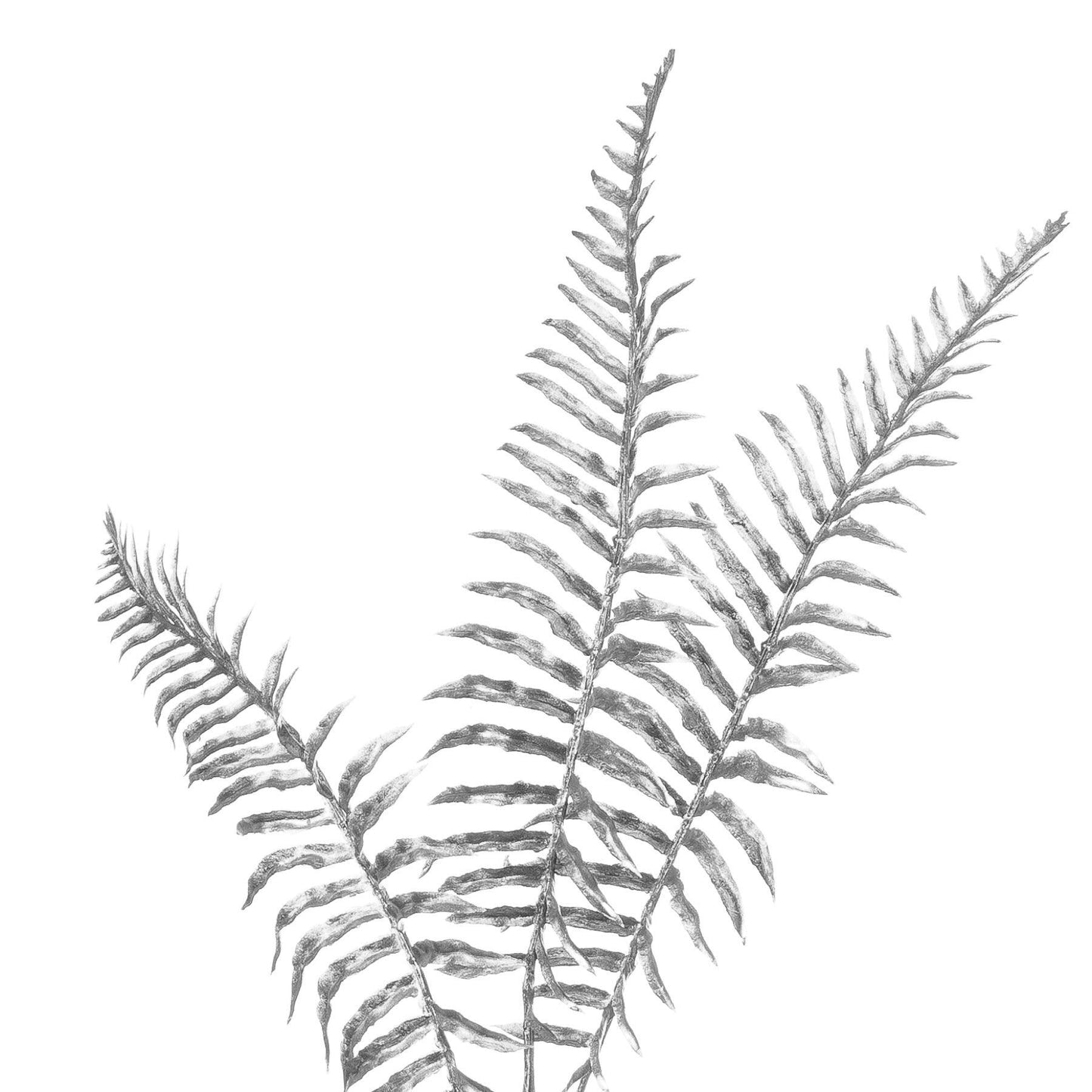 Silver Fern Spray - Eudemonia Home Goods