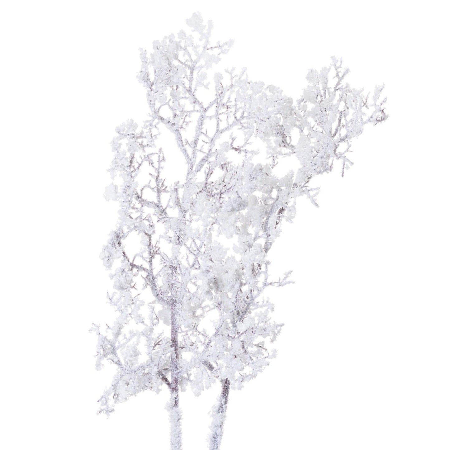 Snowy Branch - Eudemonia Home Goods