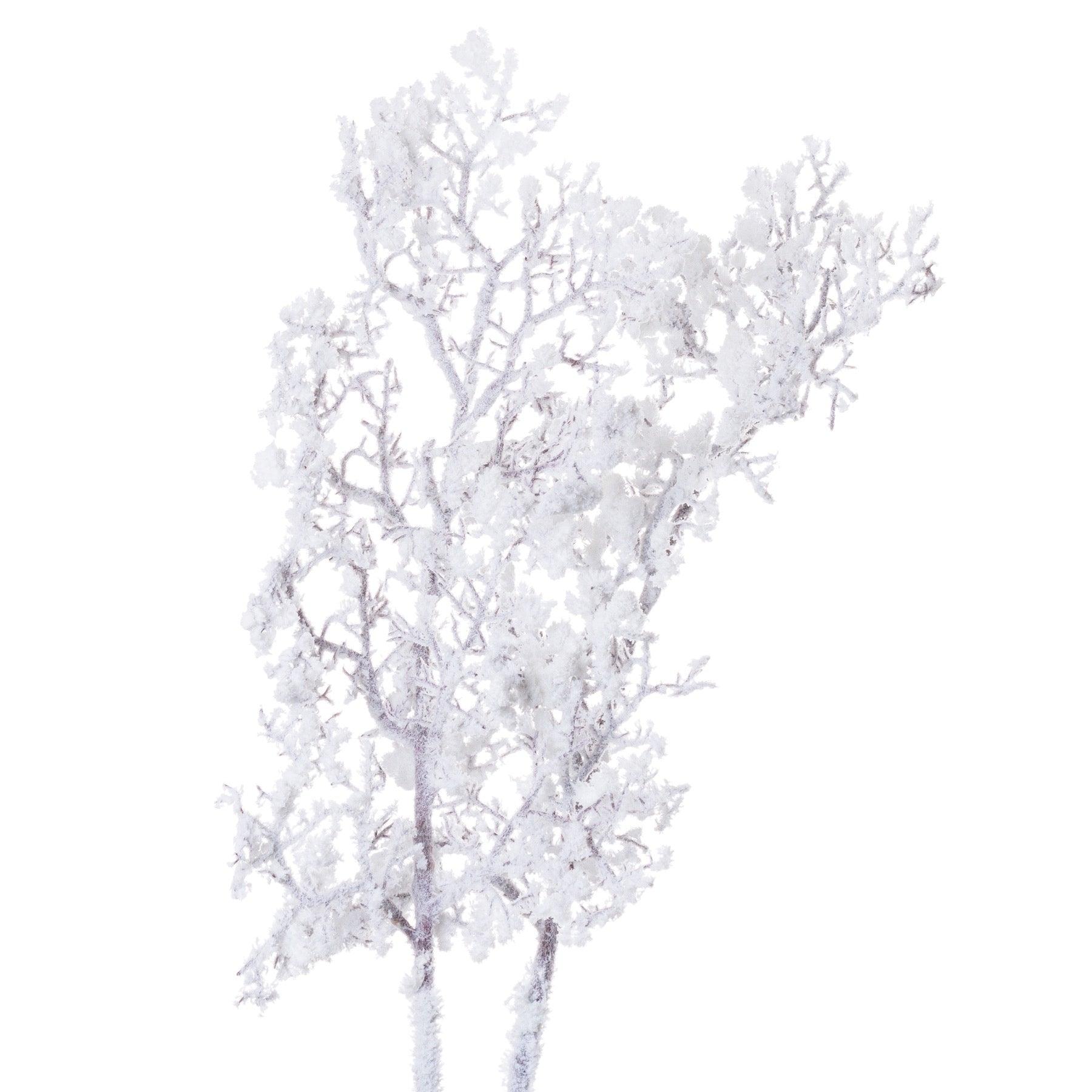 Snowy Branch - Eudemonia Home Goods