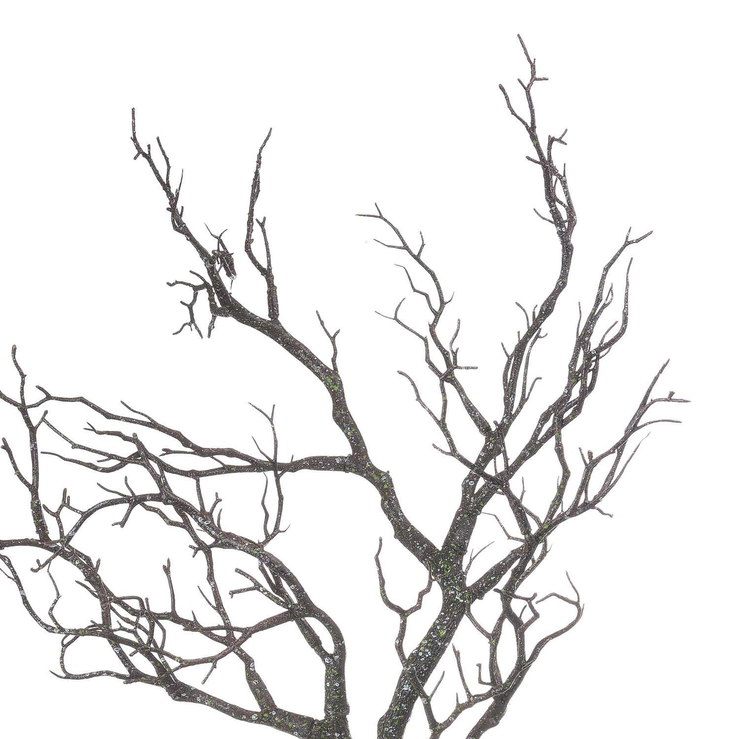 Large Branch Spray - Eudemonia Home Goods