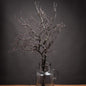 Large Branch Spray - Eudemonia Home Goods
