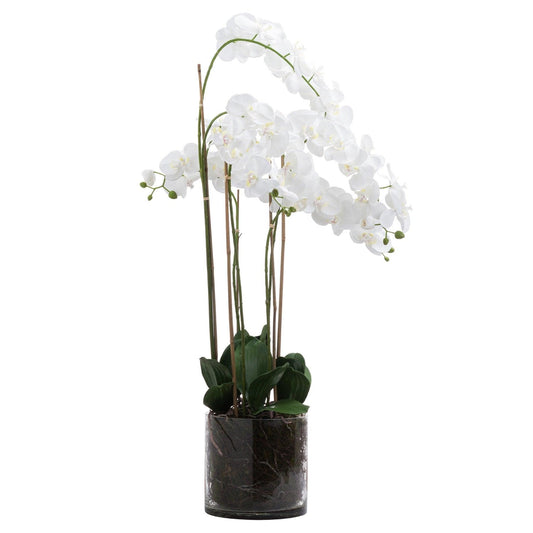 Large White Tall Orchid In Glass Pot - Eudemonia Home Goods