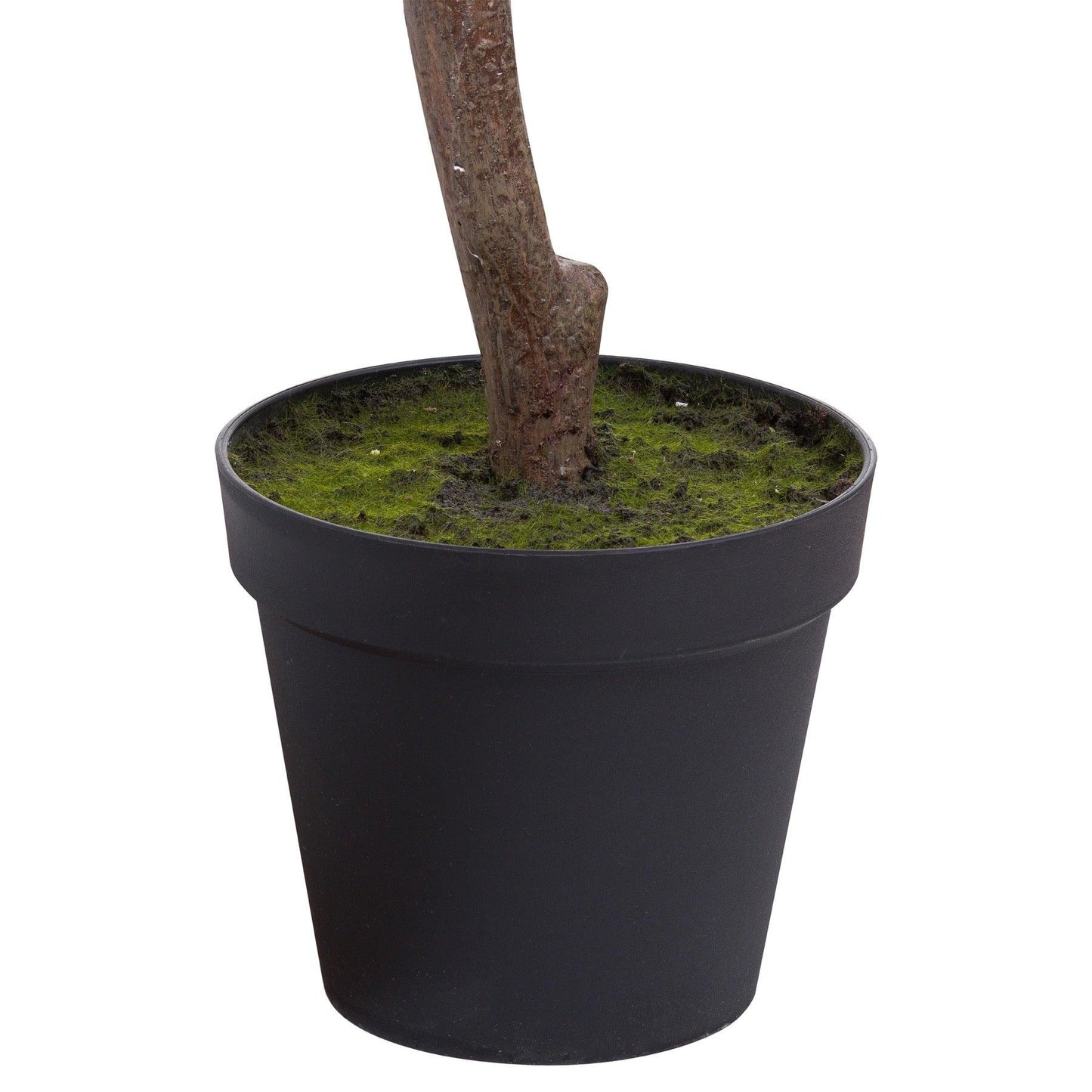 Large Cherry Blossom Tree - Eudemonia Home Goods