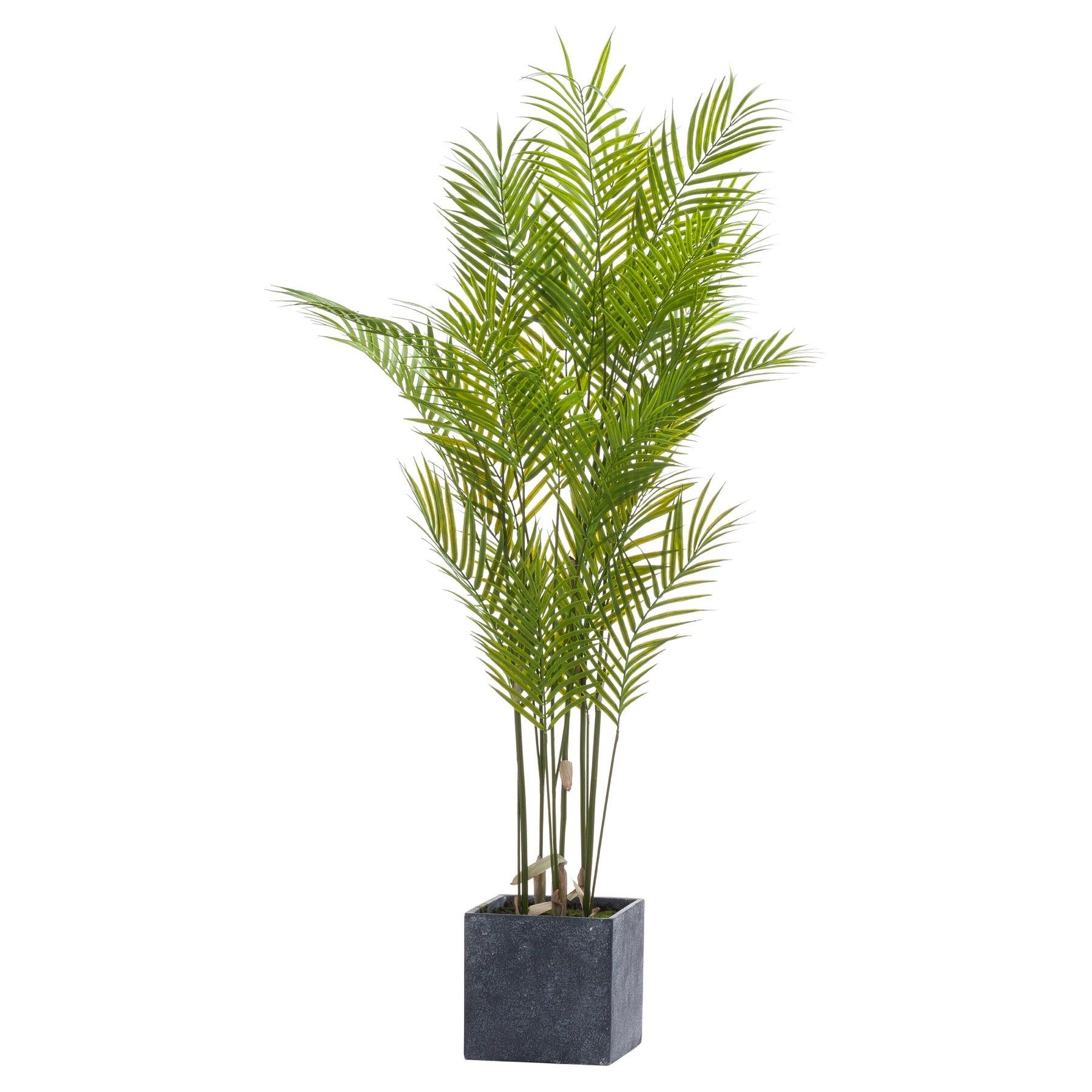 Large Paradise Potted Palm - Eudemonia Home Goods