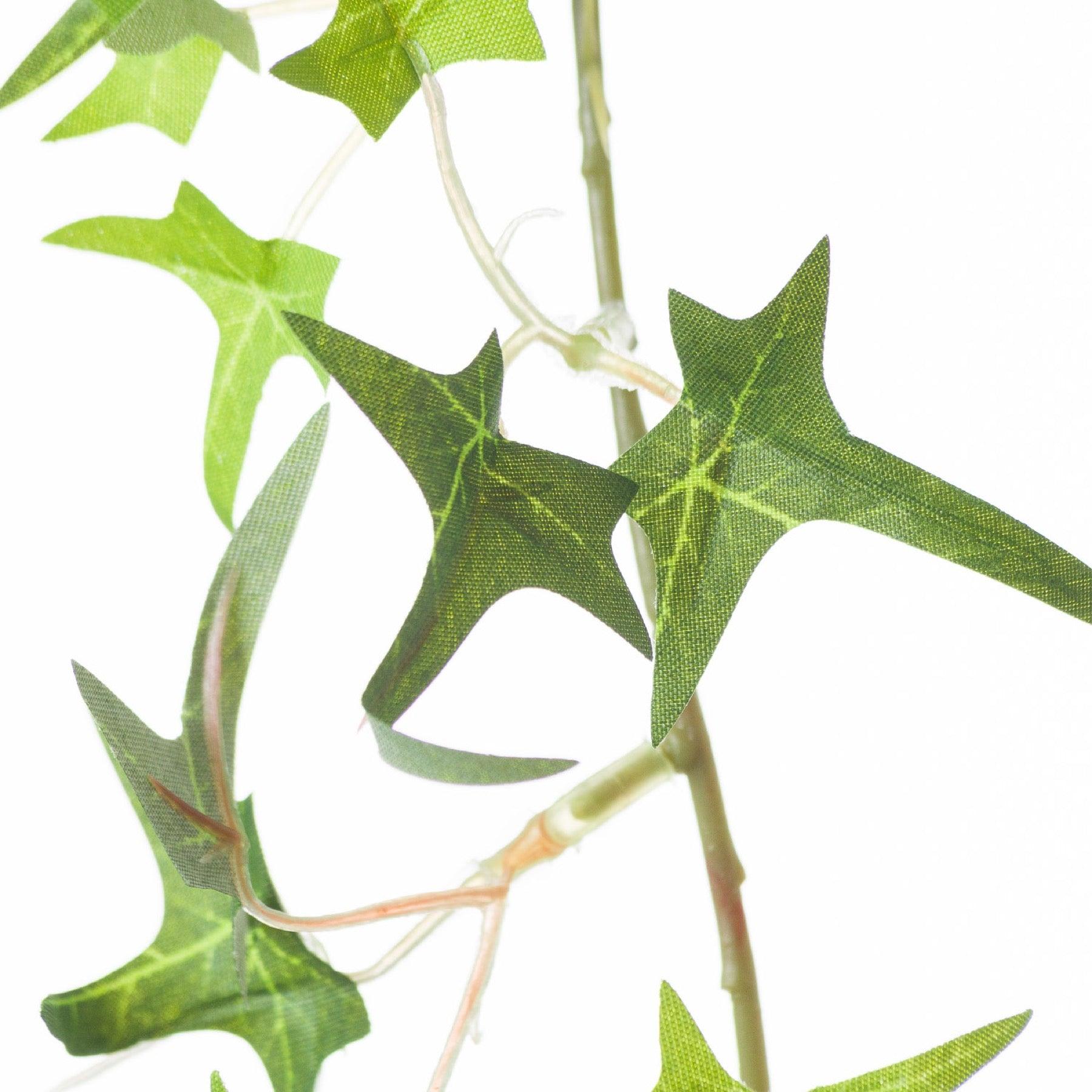 Small Ivy Garland - Eudemonia Home Goods