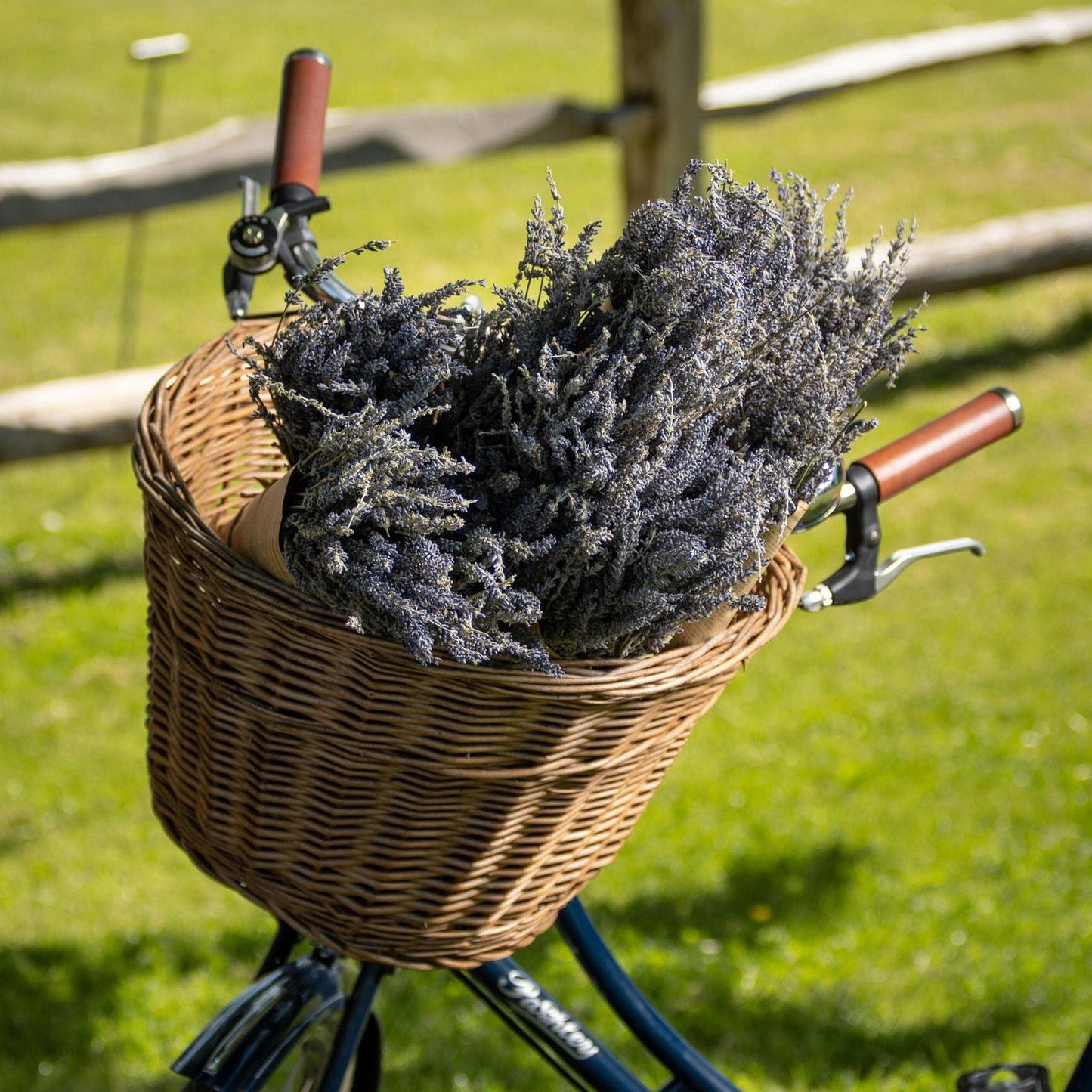 Dried lavender Bunch - Eudemonia Home Goods