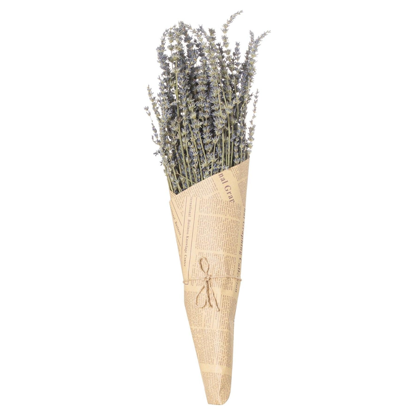 Dried lavender Bunch - Eudemonia Home Goods