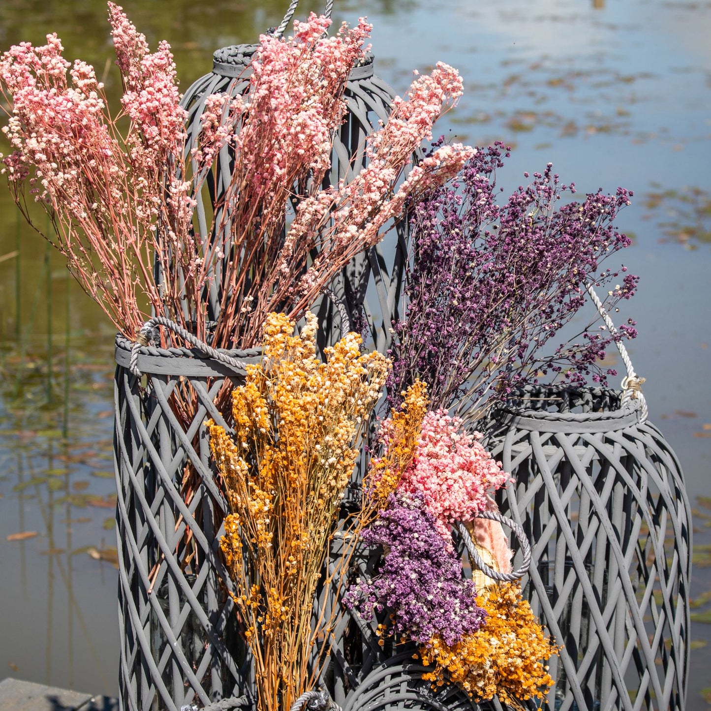 Dried Orange Babys Breath Bunch