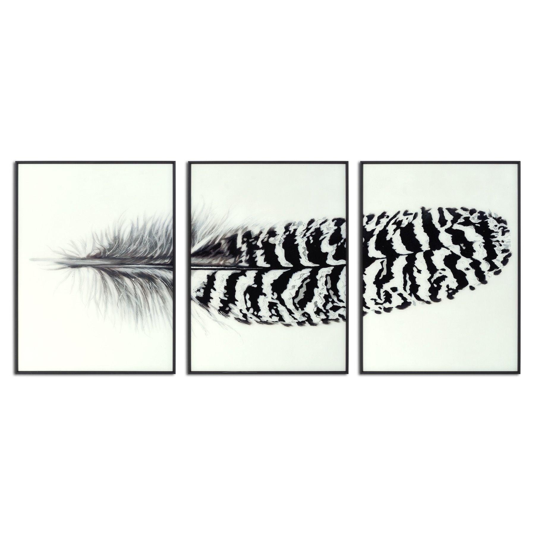 Black Striped Feather Over 3 Black Glass Frames - Eudemonia Home Goods