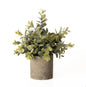 Eucalyptus Plant In Stone Effect Pot - Eudemonia Home Goods