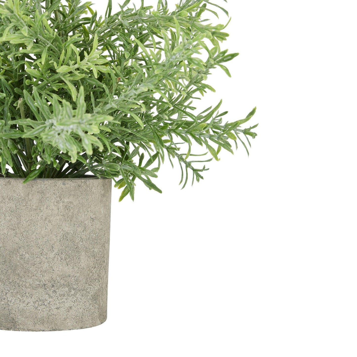 Rosemary Plant In Stone Effect Pot - Eudemonia Home Goods