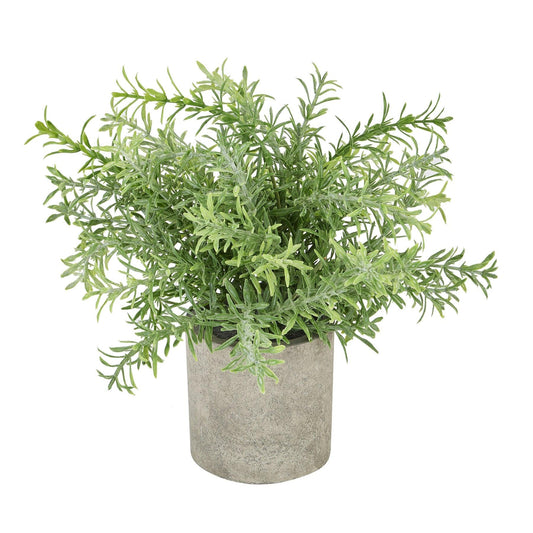 Rosemary Plant In Stone Effect Pot - Eudemonia Home Goods