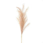 Large Faux Pampas Grass Stem - Eudemonia Home Goods