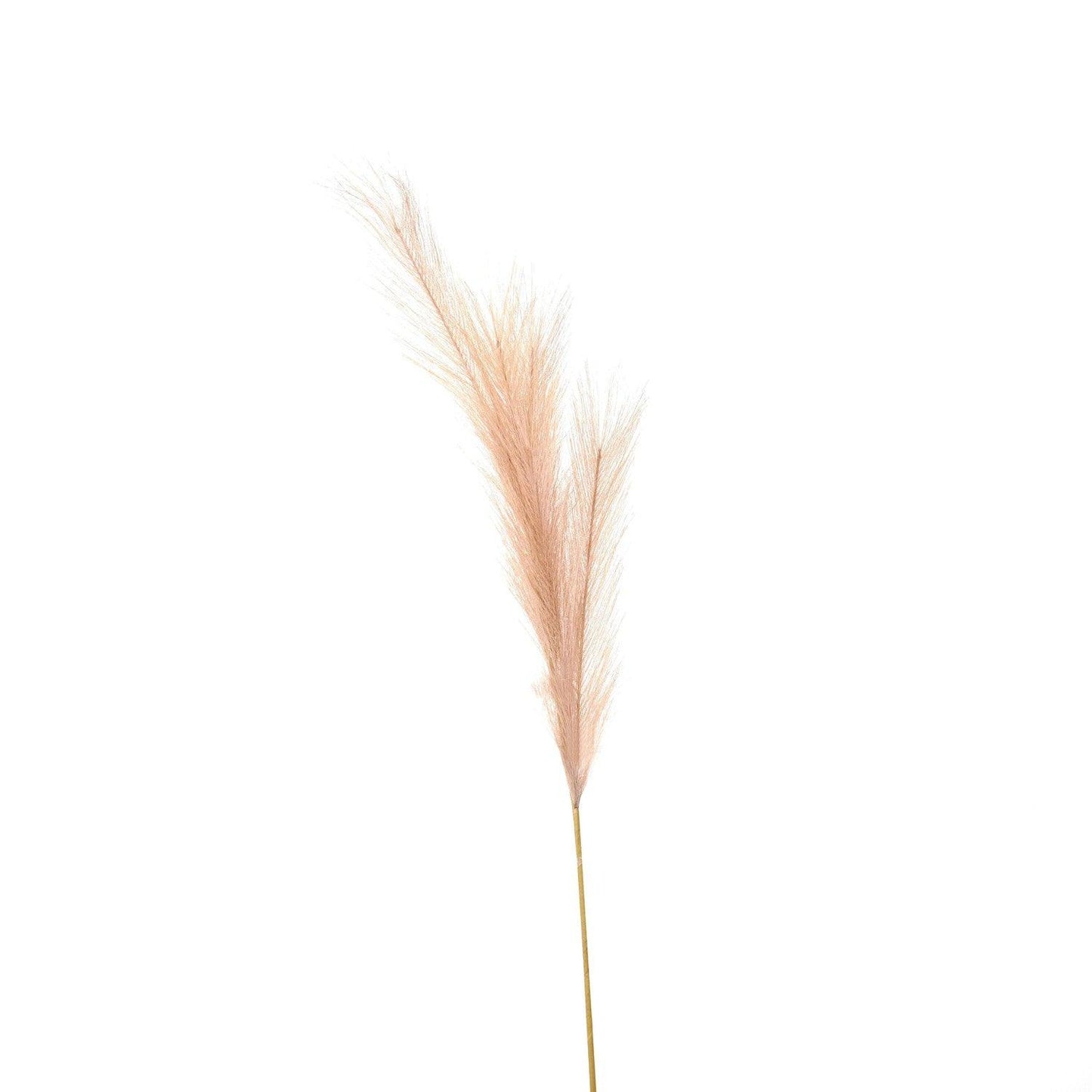 Faux Pampas Grass Stem - Eudemonia Home Goods