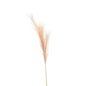 Faux Pampas Grass Stem - Eudemonia Home Goods