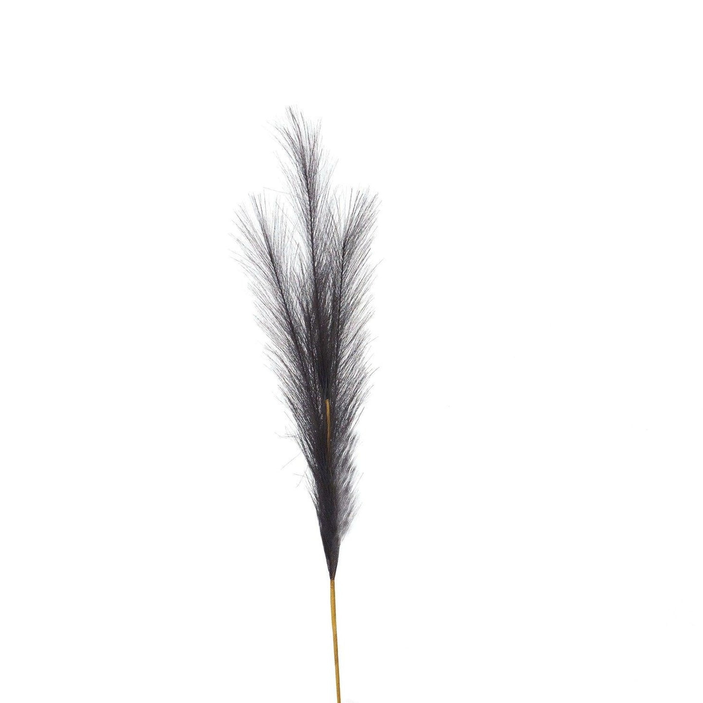 Grey Faux Pampas Grass Stem - Eudemonia Home Goods