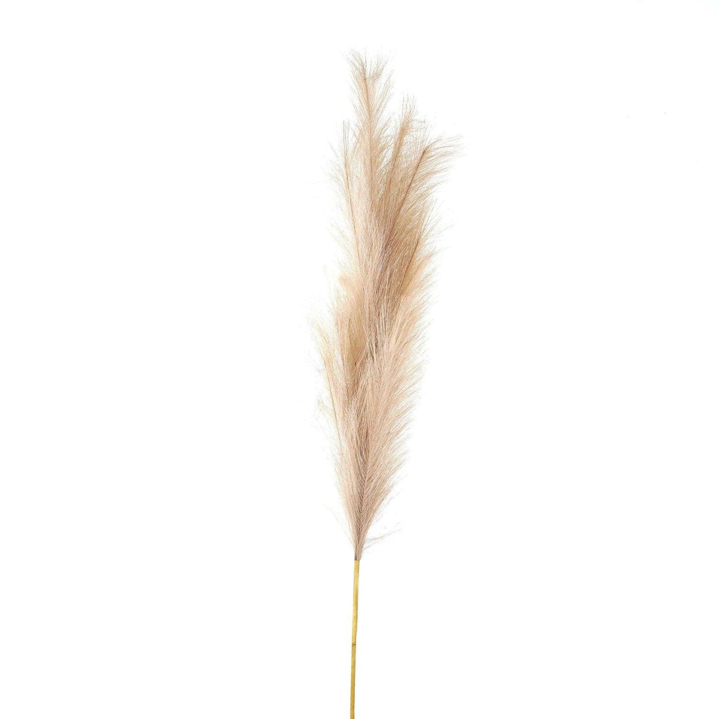 Bleached Large Faux Pampas Grass Stem - Eudemonia Home Goods