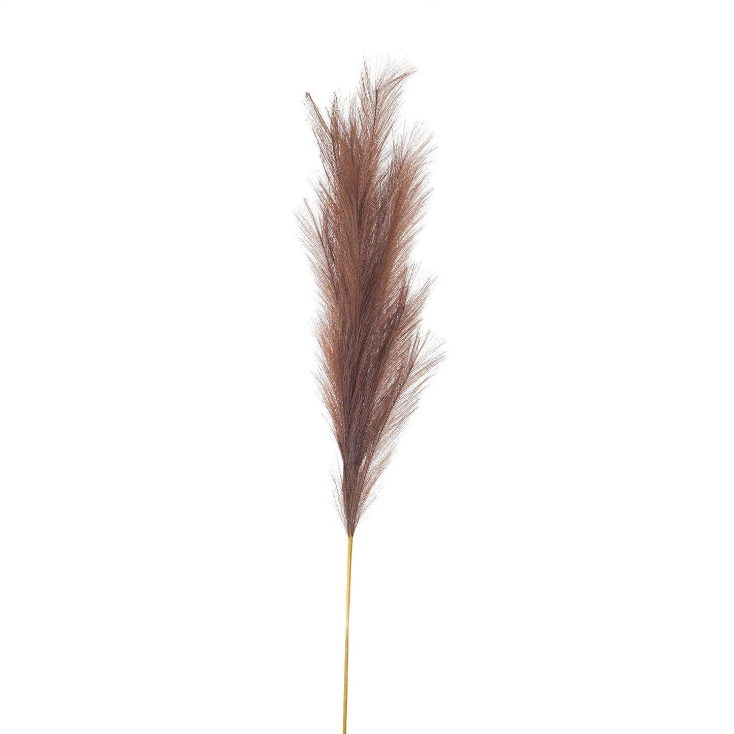 Taupe Large Faux Pampas Grass Stem - Eudemonia Home Goods