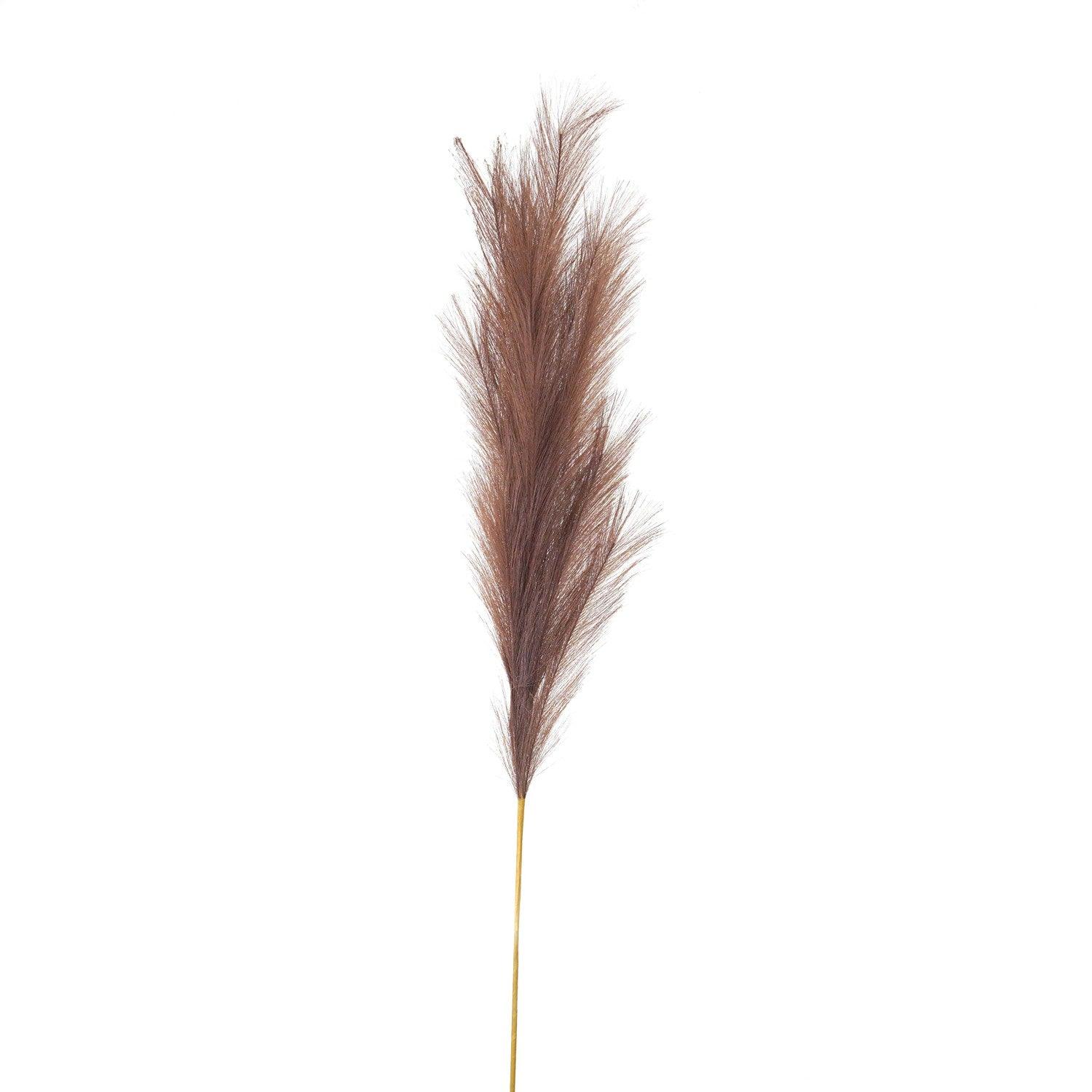 Taupe Large Faux Pampas Grass Stem - Eudemonia Home Goods