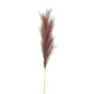 Taupe Large Faux Pampas Grass Stem - Eudemonia Home Goods